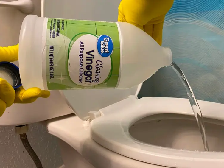 Place a Vinegar Cloth in Your Toilet and Witness the Magic!
