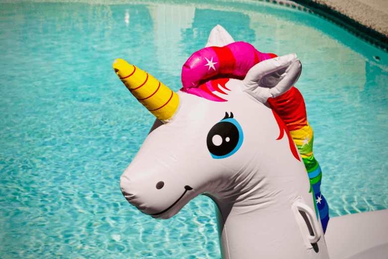 Dream comes true: 7-year-old girl is granted a 'unicorn license'
