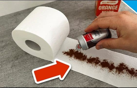 What Happens When You Add Cinnamon to Toilet Paper? Why Some People Are Doing It